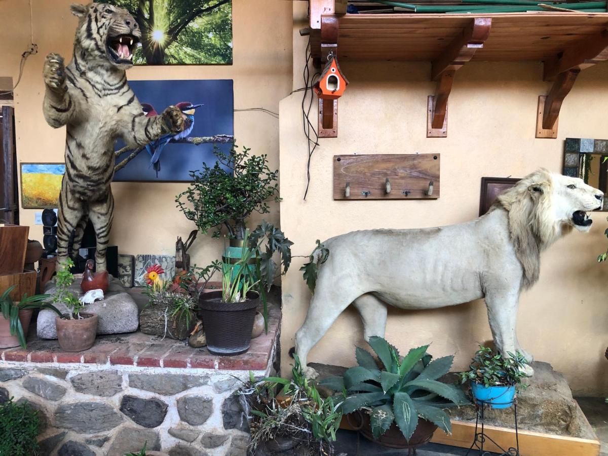 Hotel Quinta Angelica Mazamitla Zewnętrze zdjęcie